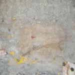 Vraj-Yatra-2014- (669)